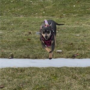 Welcome! 5/$25 offers! Look for the 🐶 emoji forMarley approved bundles!